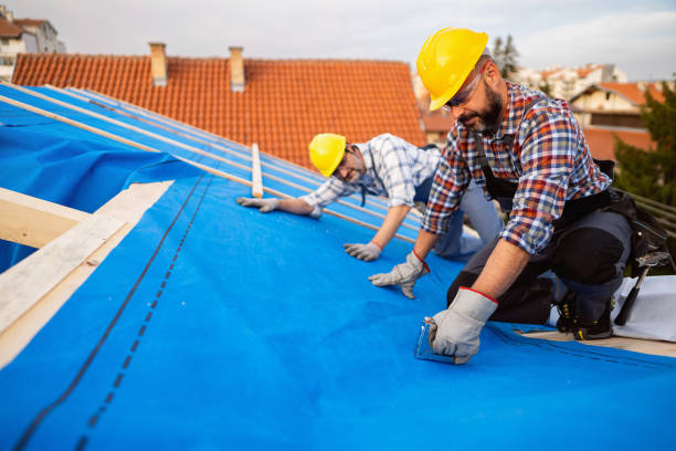 Best Roof Gutter Cleaning  in Sparrow Bush, NY